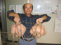 農家様を訪ねて