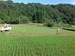 アミノeの効果試験