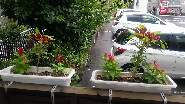 s-20150818_073756.jpg