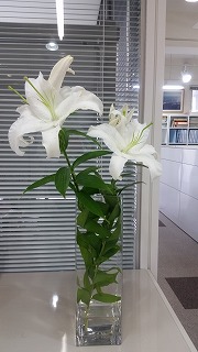 s-20160525_091833.jpg