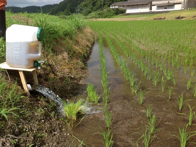 水口からの流しこみ.jpg