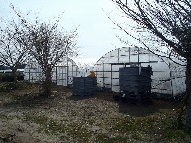 s-P2250277.jpg