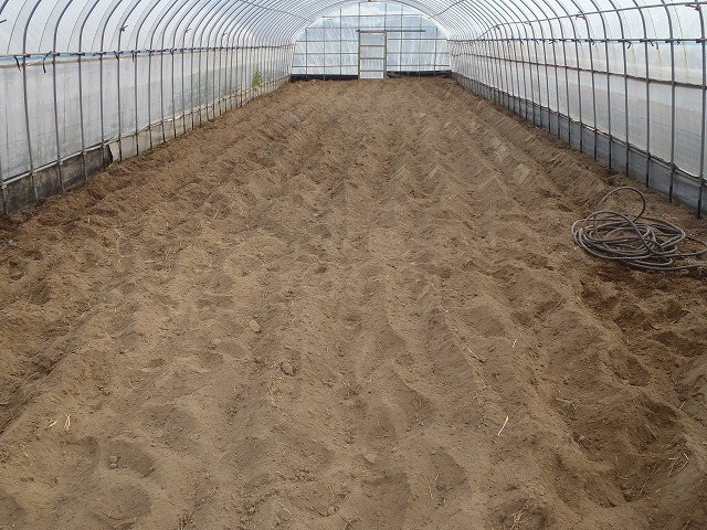 s-P2250289.jpg