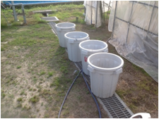 切花をつけておくバケツ